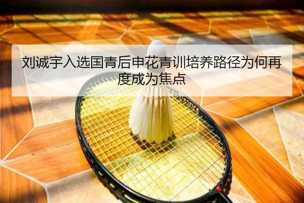 刘诚宇入选国青后申花青训培养路径为何再度成为焦点